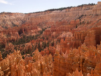 Bryce Canyon Landscape